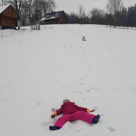 Przytulne Na Poddaszu Jelenia Góra Esterno foto