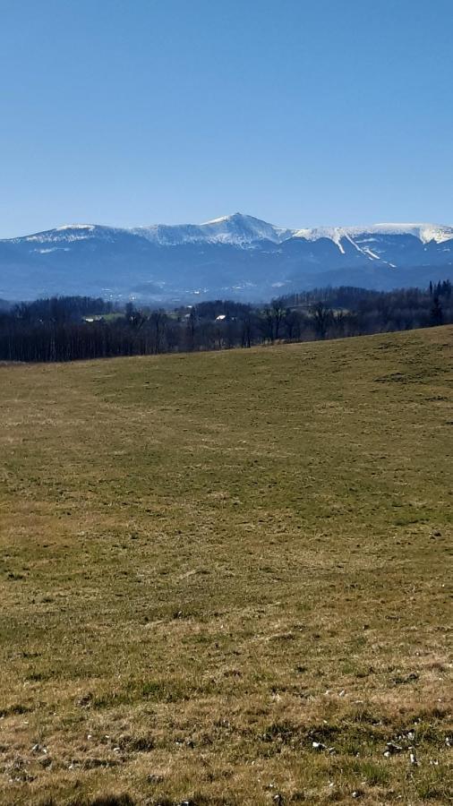 Przytulne Na Poddaszu Jelenia Góra Esterno foto