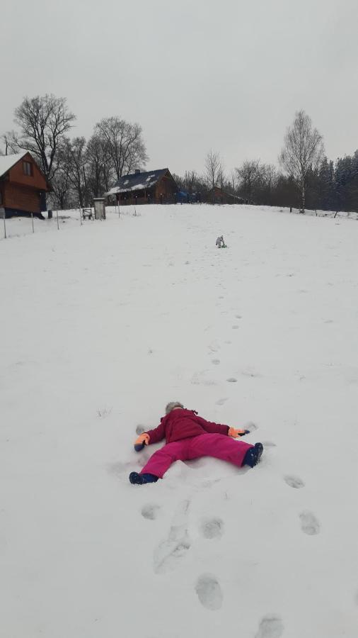 Przytulne Na Poddaszu Jelenia Góra Esterno foto